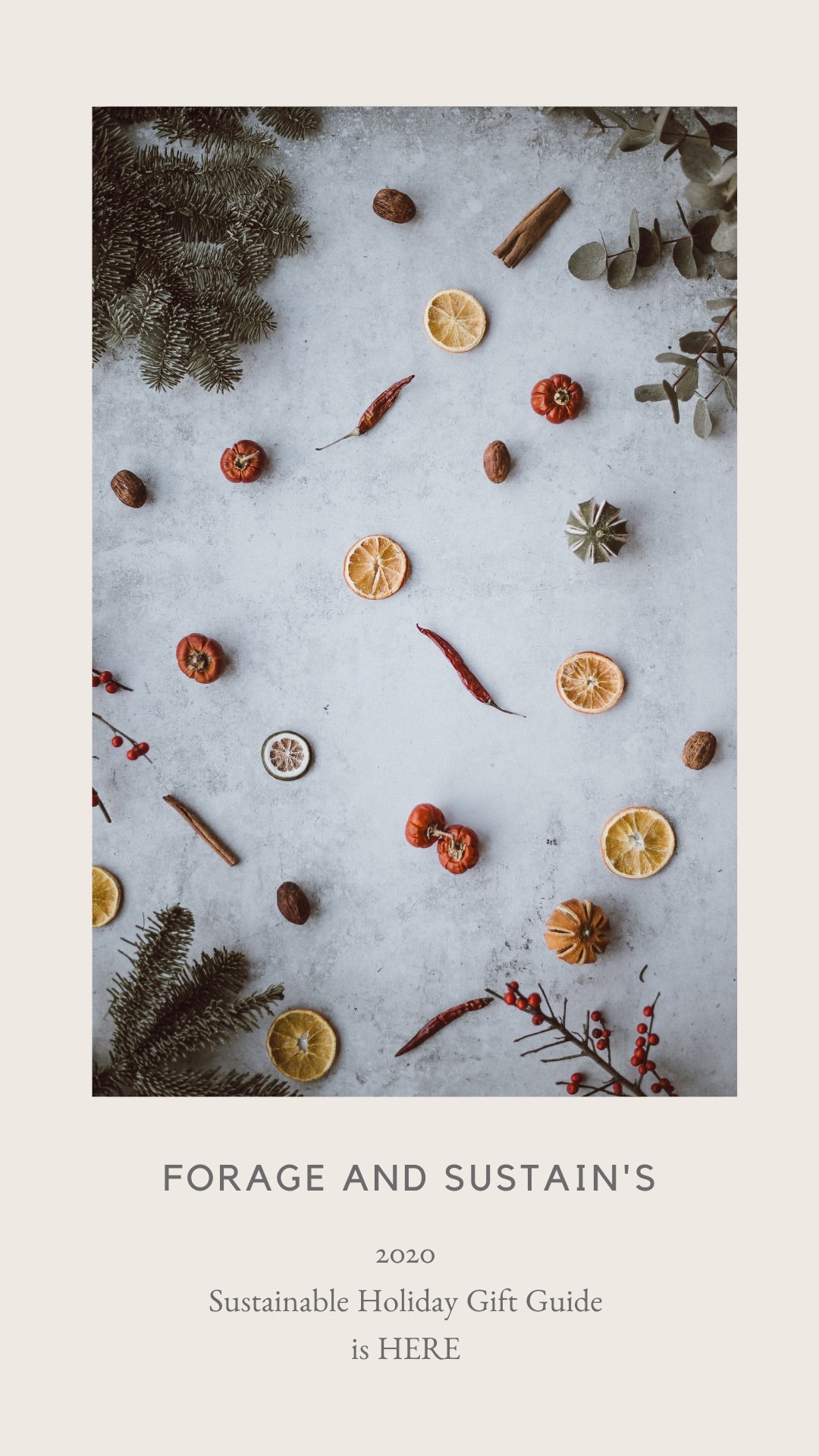 Forage and Sustain's 2020 Holiday Gift Guide Released